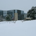 Richard Ivey Photo 21