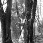 Timothy Collier Photo 1