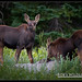 Robert Daugherty Photo 31
