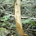 Donald Root Photo 19