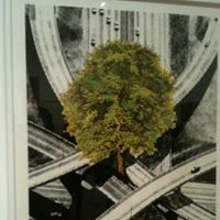 Christina Metcalfe Photo 4