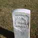 Anthony Bonner Photo 35