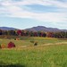 Margaret Thacker Photo 22