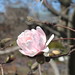 Lisa Kemper Photo 34