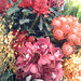 David Flowers Photo 18