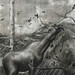 Jennifer Kovacs Photo 14