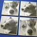 Connie Link Photo 12