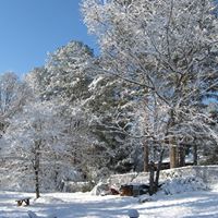 Rhonda Camp Photo 7