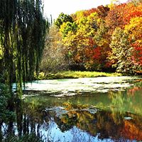 Cindi Bramow Photo 3