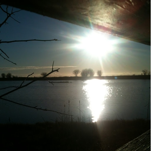 Renee Davies Photo 9