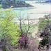 Travis Spring Photo 6