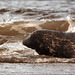 Donna Wiley Photo 23