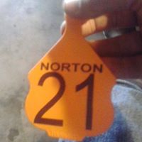 Cindy Norton Photo 11