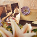Cynthia Albert Photo 16
