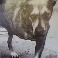 Teddy Walker Photo 10