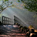 Glen Petit Photo 5