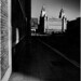 Alan Strand Photo 26