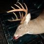Joseph Upchurch Photo 22