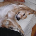 Cheryl Bailey Photo 16