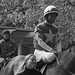 Jerry Smart Photo 23