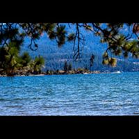 Debra Shea Photo 11