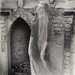 John Laughlin Photo 35