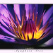 Tina Bloom Photo 32