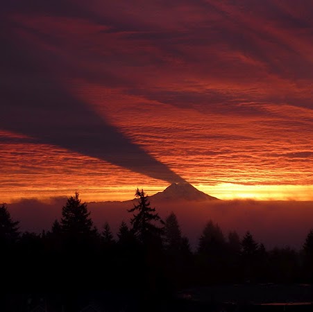 Pete Olson Photo 10