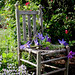 Paula Huber Photo 20