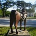 James Burnes Photo 32
