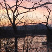 Donna Meeks Photo 24