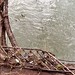 Gale Flood Photo 14
