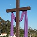 Barbara Cross Photo 7