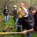 Ann Newland Photo 15