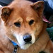 Ruby Coats Photo 8