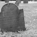Mary Emmons Photo 16
