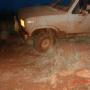 Donna Griffith Photo 19
