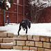 Carroll Timms Photo 7