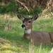Brian Maskell Photo 6