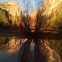 Michelle Koelzer Photo 1