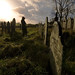 Cathy Graves Photo 5