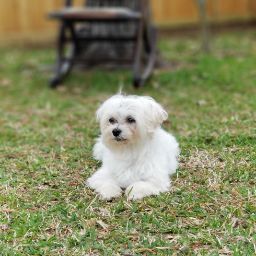 Terrie Boyd Photo 5