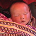 Sharon Szabo Photo 16