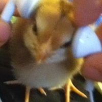 Jesse Waldrop Photo 3