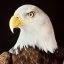 Jon Stamm Photo 6