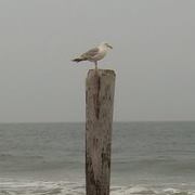 Rebecca Mcmillen Photo 14