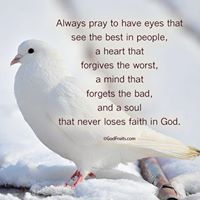 Amy Pineda Photo 8