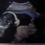 Christine Helmer Photo 17