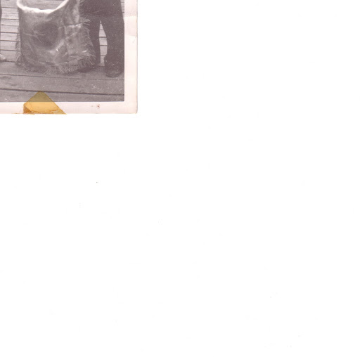 Ron Palmer Photo 11