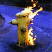 Donald Foreman Photo 24